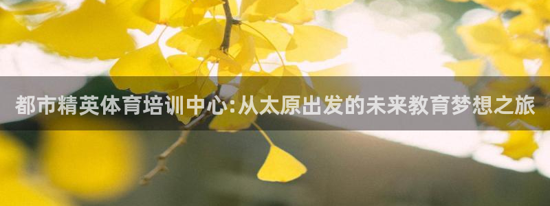 即嗨体育app下载官网：都市精英体育培训中心:从太原出发的未来教育梦想之旅
