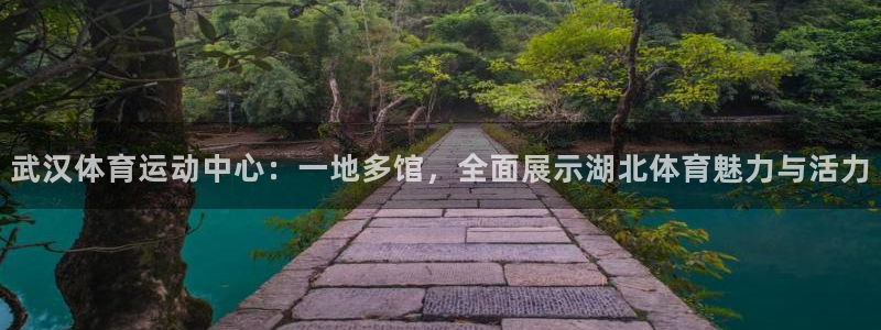 即嗨体育：武汉体育运动中心：一地多馆，全面展示湖北体育魅力与活力