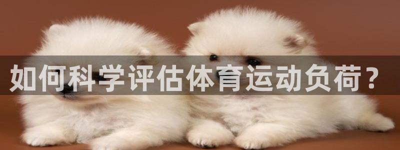 即嗨体育：如何科学评估体育运动负荷？