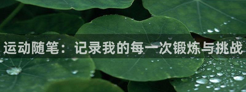 即嗨体育app官网：运动随笔：记录我的每一次锻炼与挑战