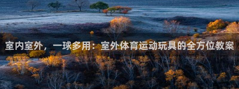 即嗨体育官网：室内室外，一球多用：室外体育运动玩具的全方位教案