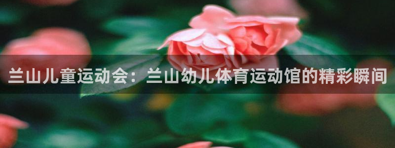 即嗨体育：兰山儿童运动会：兰山幼儿体育运动馆的精彩瞬间