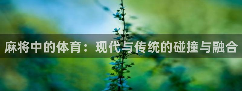 即嗨体育app官网：麻将中的体育：现代与传统的碰撞与融合